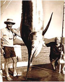 Australian record and Heaviest fish for Cairns 1970 season