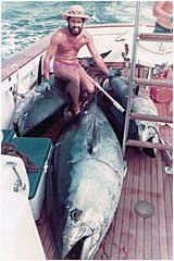Capt. Peter Bristow with 3 winning Tunas - Bimini Tuna Tournament - Bahamas