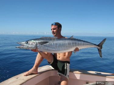 Nice Wahoo